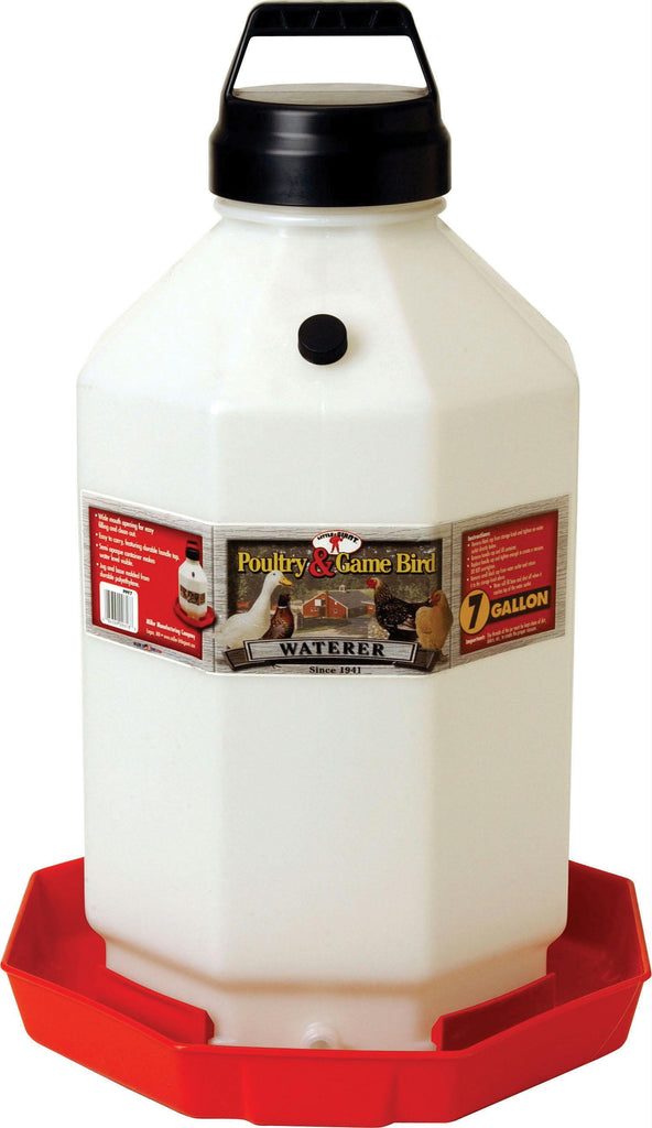 Little Giant Plastic Poultry Waterer