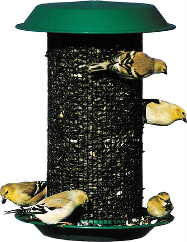 Magnum Black Oil Sunflower Seed Feeder