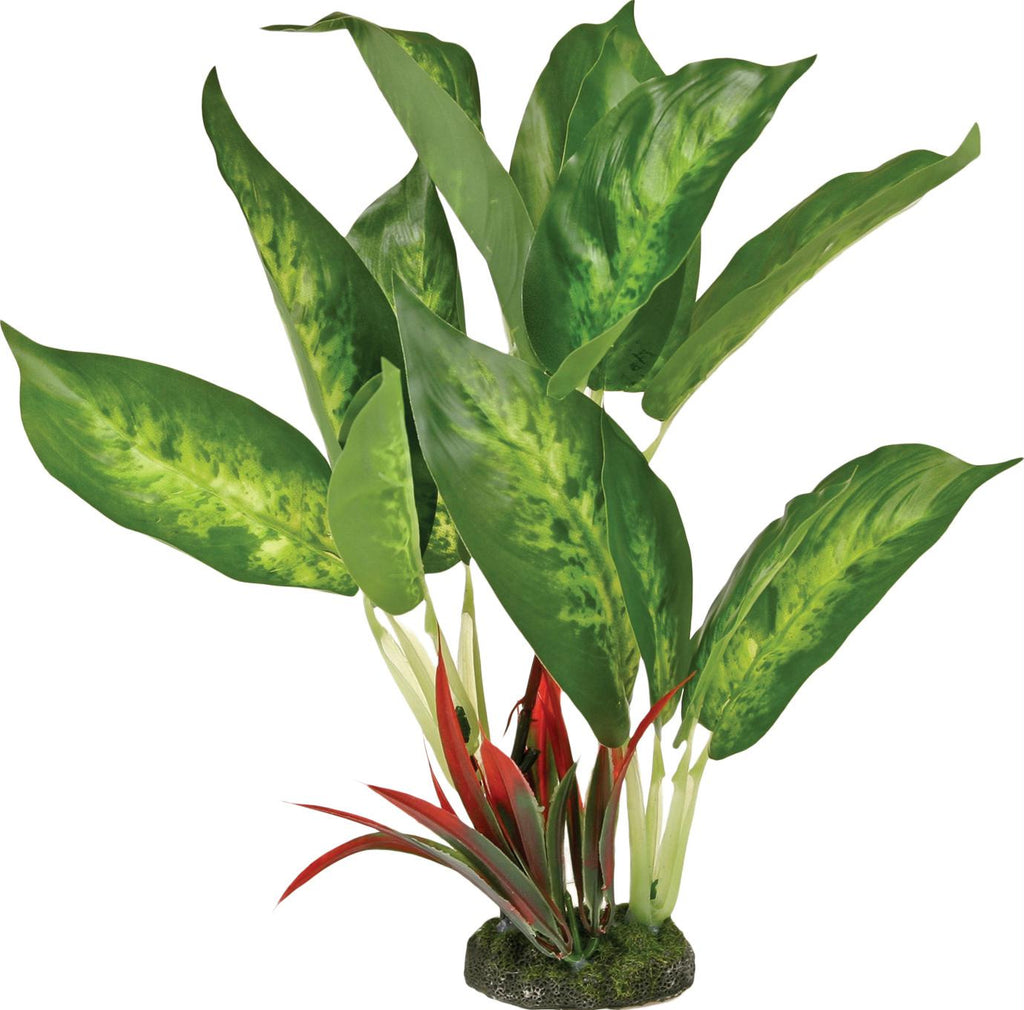 Colorburst Florals Dieffenbachia Variegated Leaf