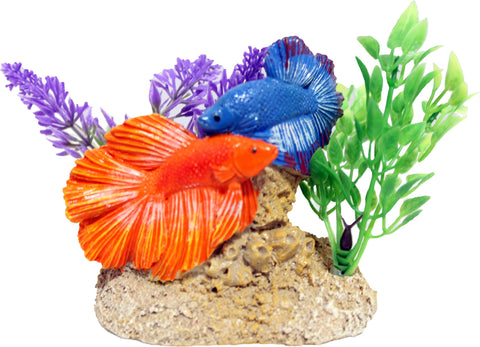 Exotic Environments Aquatic Scene With Bettas