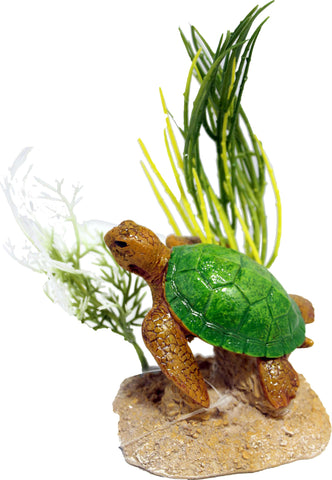 Exotic Environments Aquatic Scene With Turtle