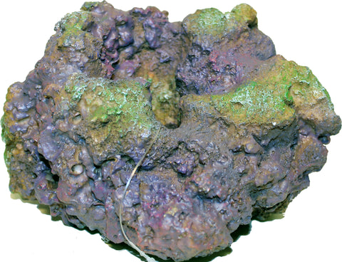 Stackable Reef Rock Replicas