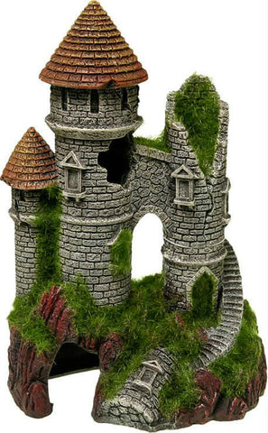 Mountain Top Citadel With Moss