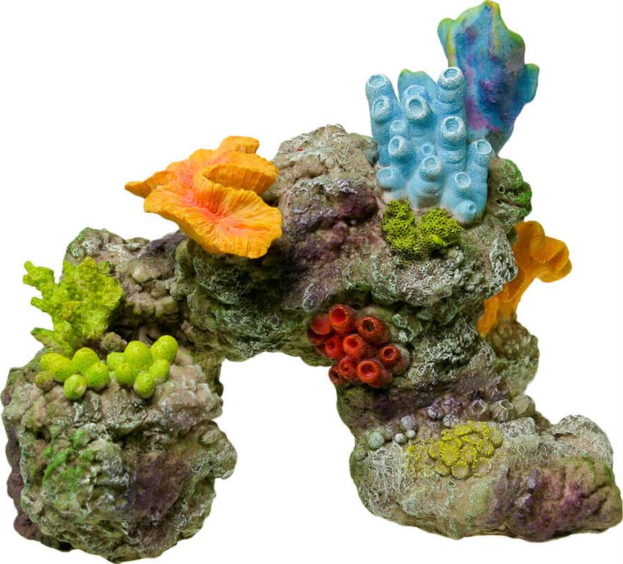 Coral Reef Rock