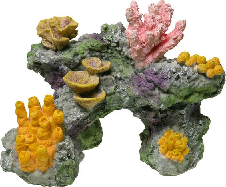 Coral Reef Rock