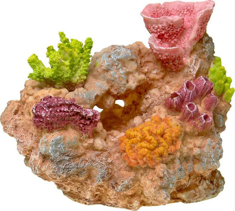 Coral Reef Rock