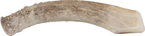 Nature's Own Naturally Shed Monster Elk Antler