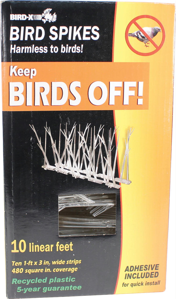 Plastic Bird Spikes