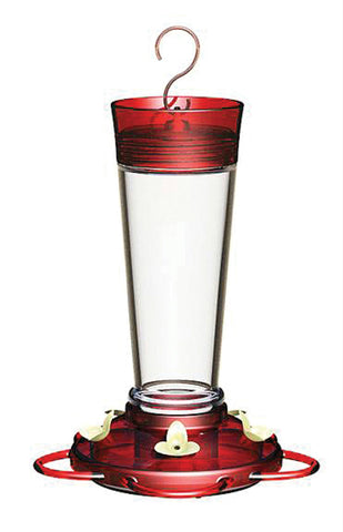 Ruby Glass Hummingbird Feeder