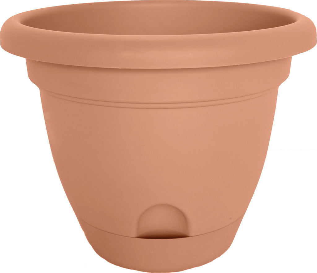 Lucca Planter