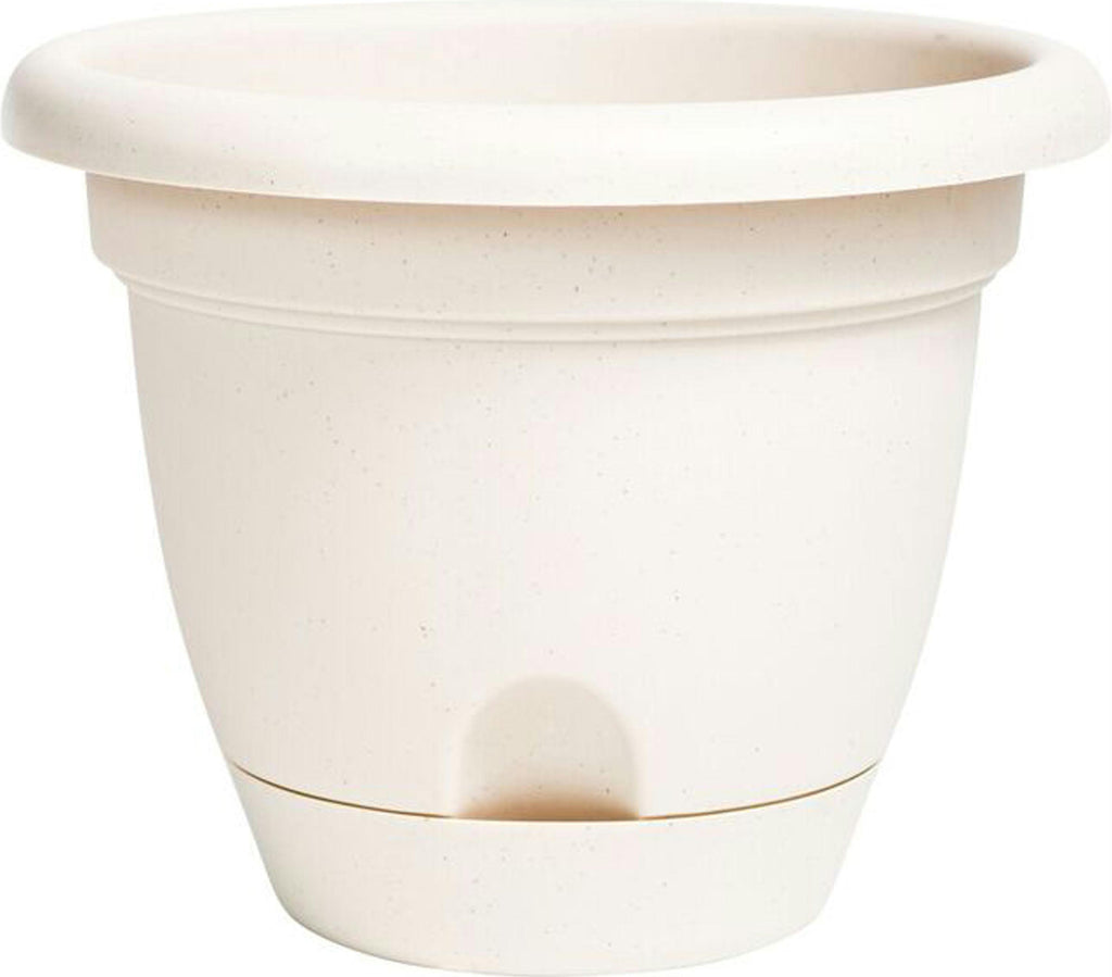 Lucca Planter