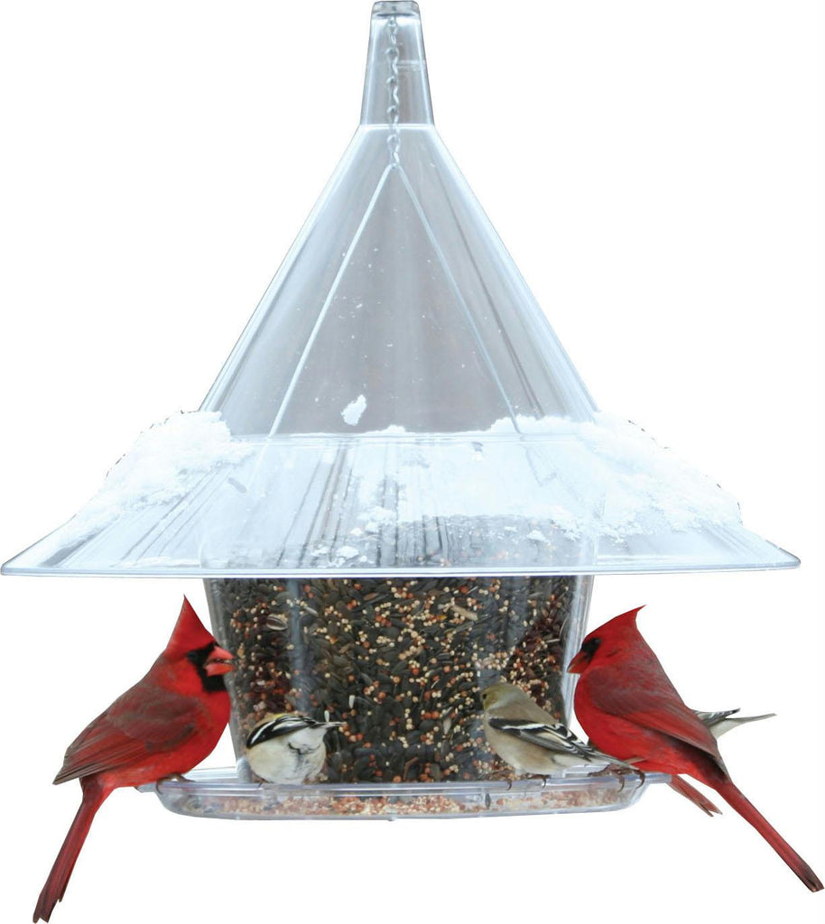 Mandarin Sky Cafe Bird Feeder