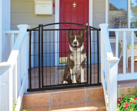 Outdoor Walk-thru Gate With Small Pet Door