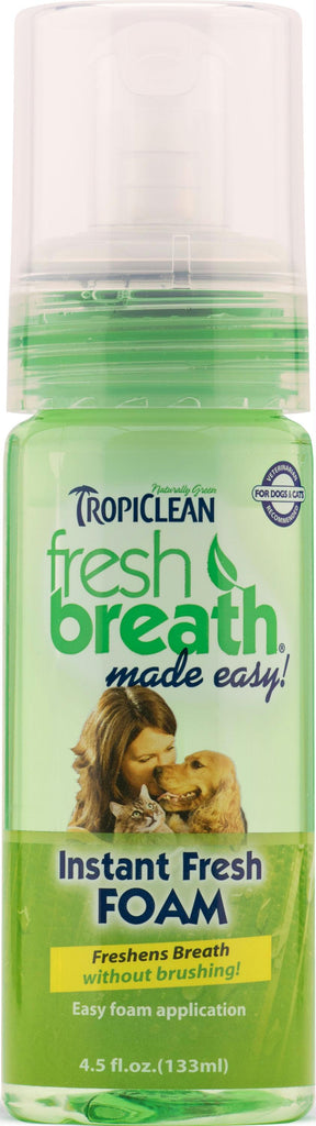 Fresh Breath Mint Foam