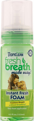 Fresh Breath Mint Foam