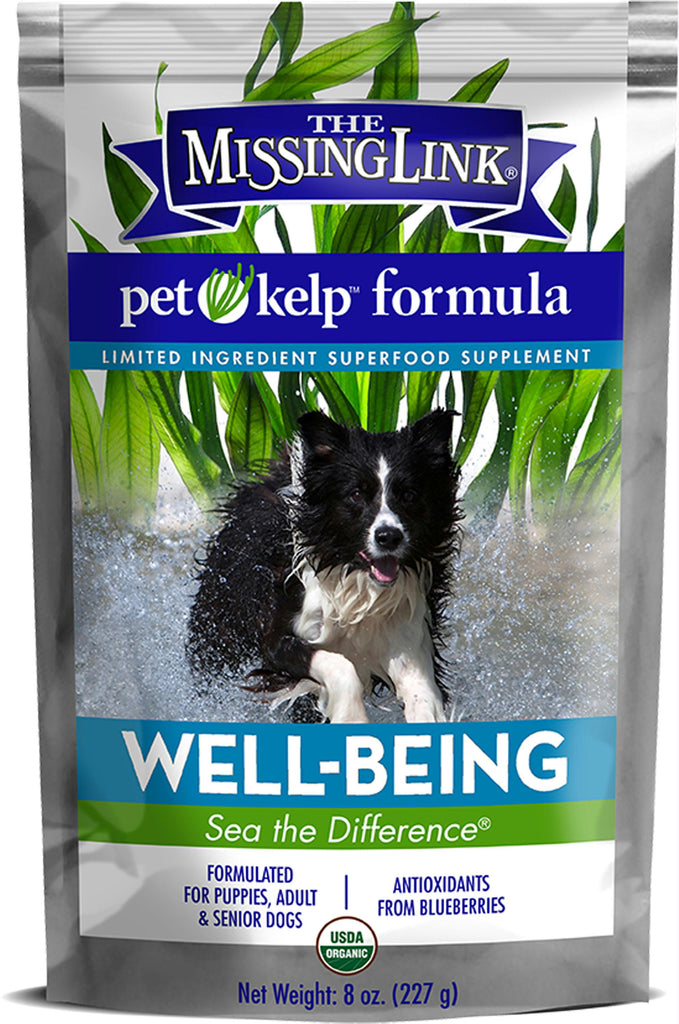 Pet Kelp Wellness Powder