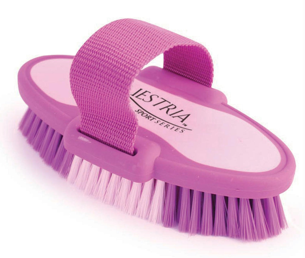 Equestria Sport Oval Body Brush