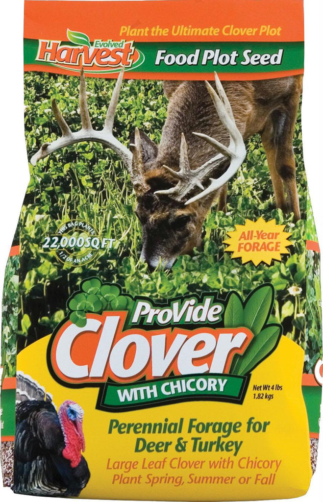 Pro-vide Clover Chicory Forage