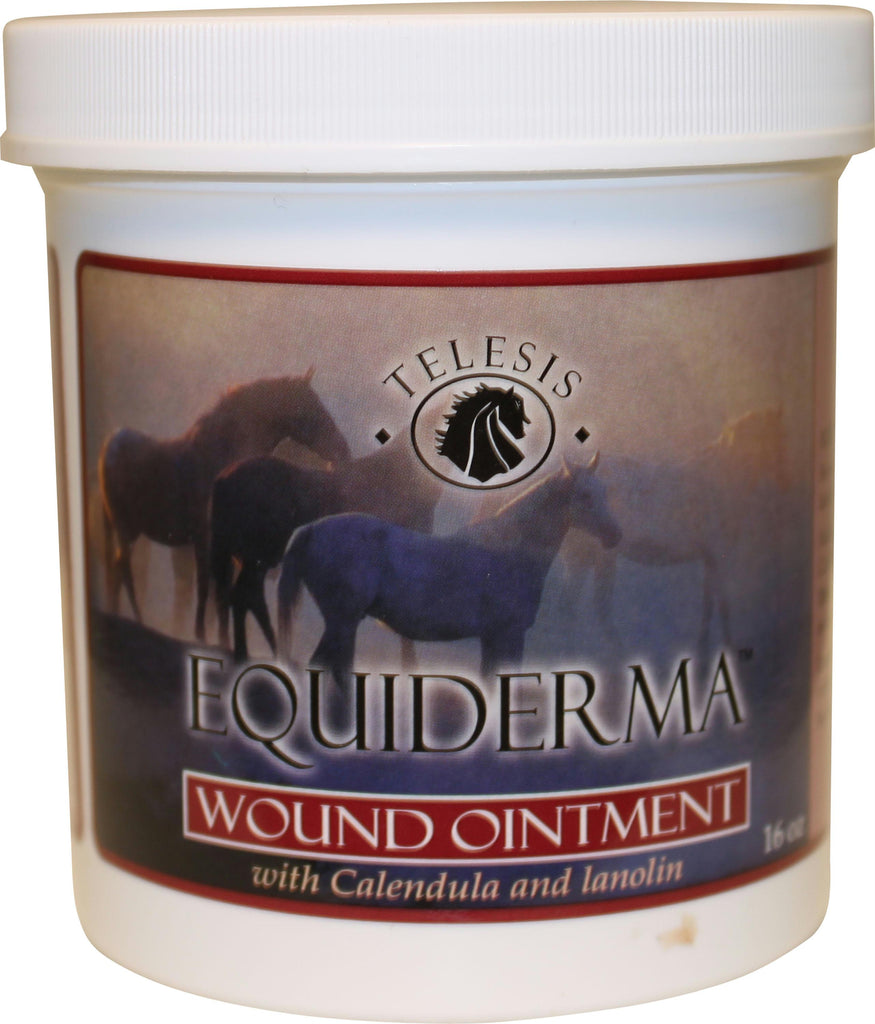 Equiderma Wound Ointment