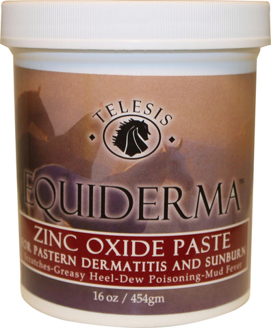 Equiderma Zinc Paste