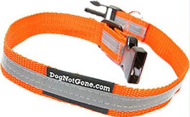 Reflective Dog Collar