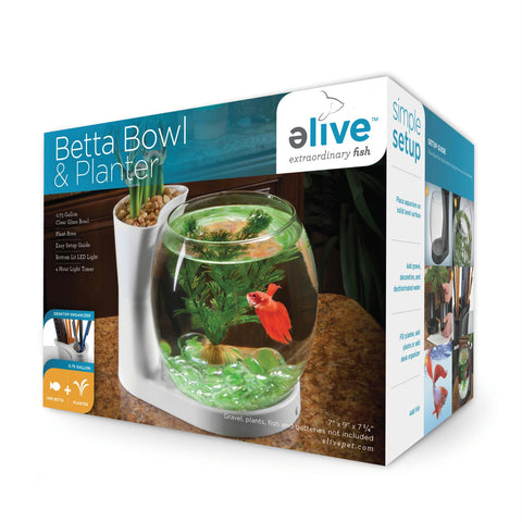 Betta Bowl And Planter