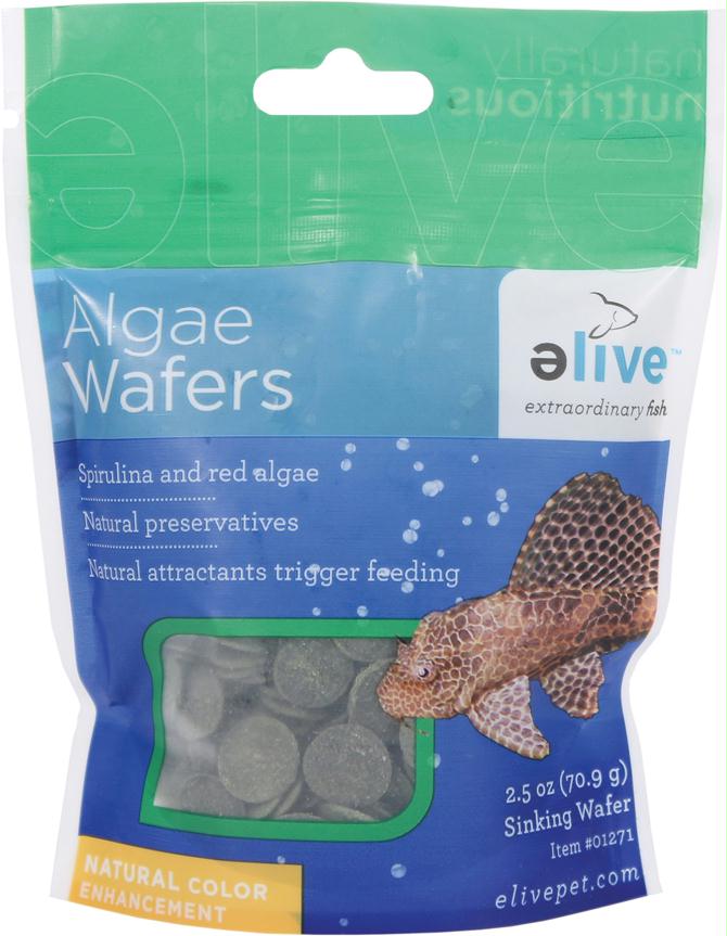 Algae Wafers