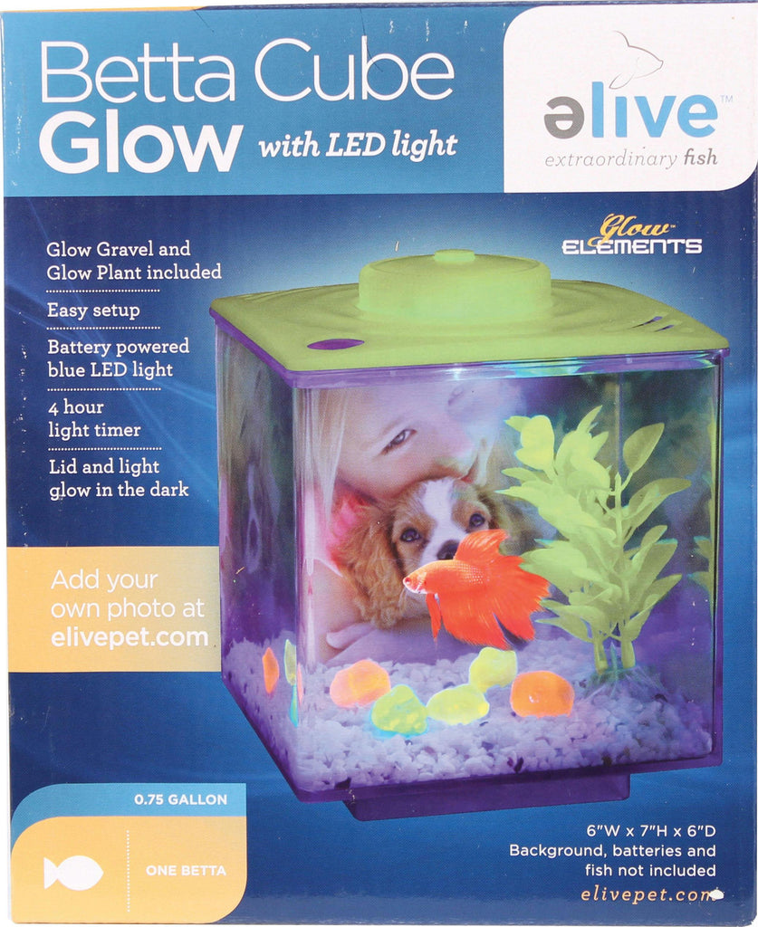 Betta Glow Cube