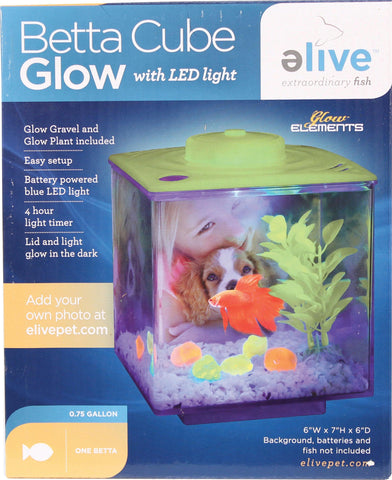 Betta Glow Cube