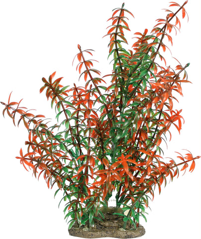 Natural Elements Rotala Plant