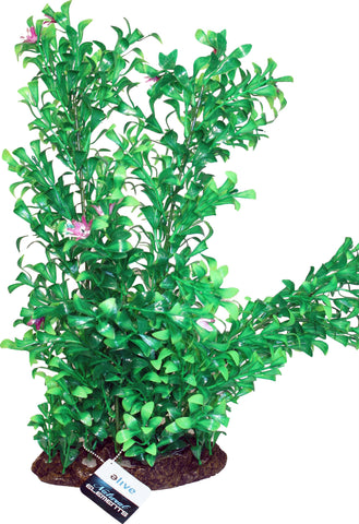 Natural Elements Blooming Ludwigia Plant Ornament