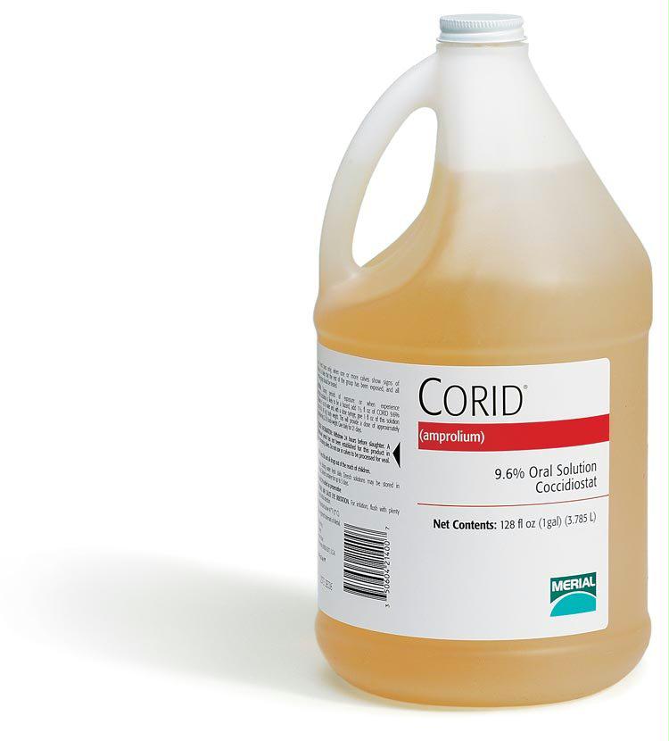 Corid 9.6% Oral Solution For Calves