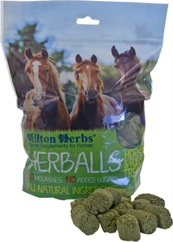 Herballs Horse Treat