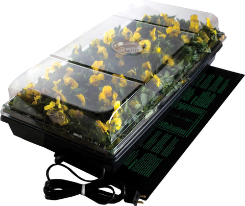 Germination Station With Heat Mat