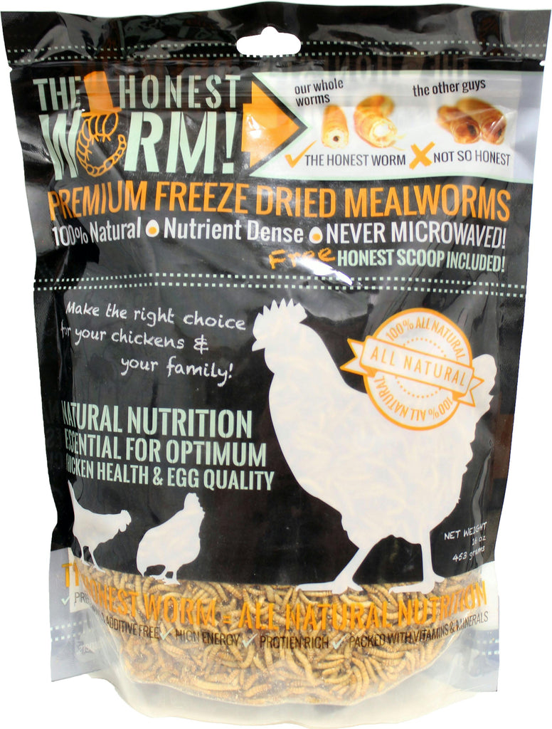 Freeze Dried Mealworms