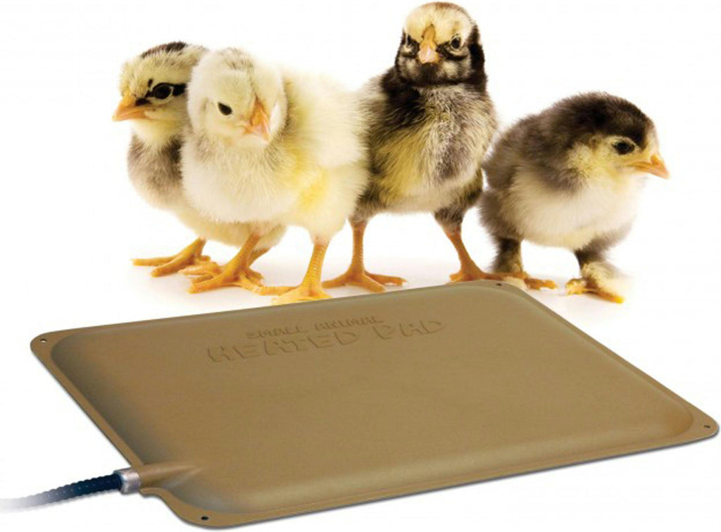 Thermo-peep Heated Pad