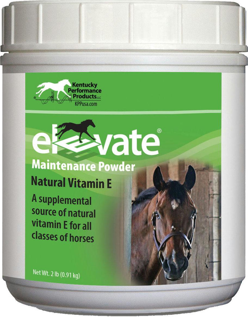 Elevate Maintenance Powder Supplement For Horses