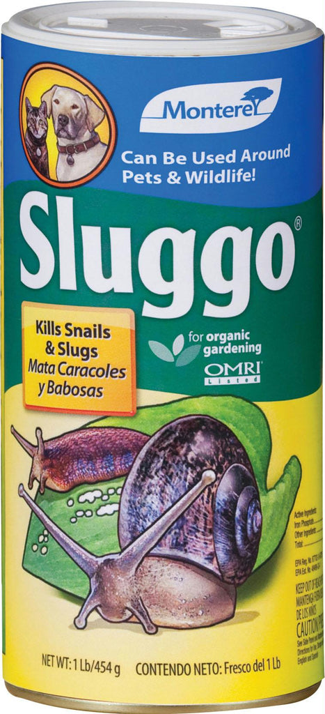 Monterey Sluggo