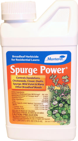 Spurge Power