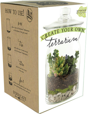 Diy Terrarium Kit