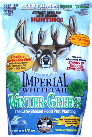 Imperial Whitetail Winter-greens-fall Annual