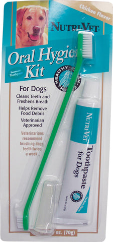 Oral Hygiene Kit