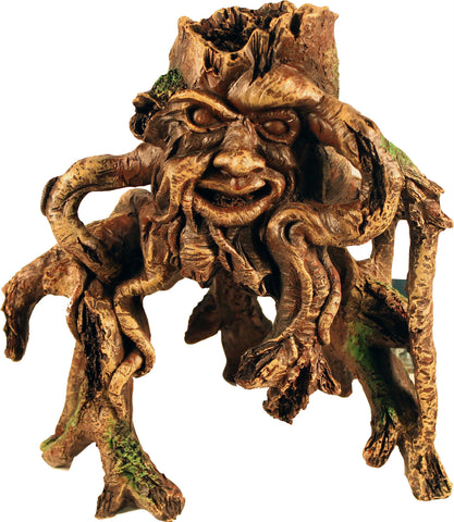 Sunken Tree Of Knowledge #1 Driftwood
