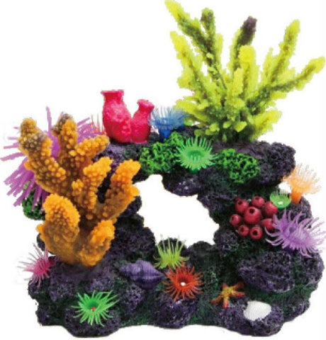 Coral Reef Formation