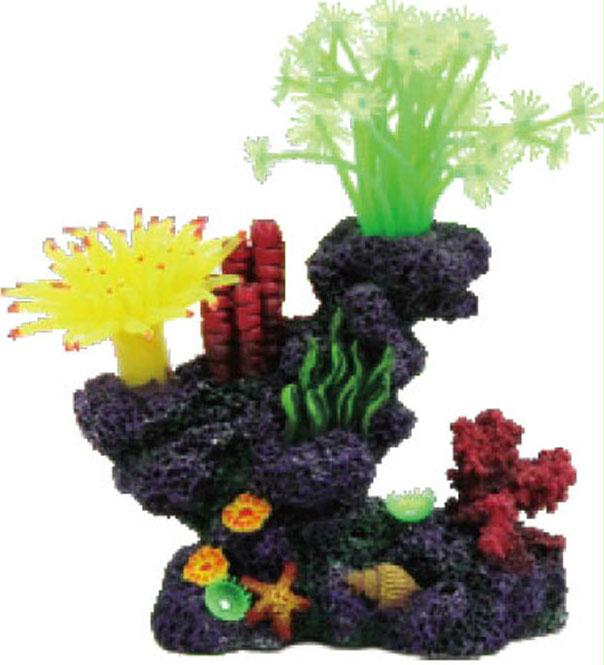 Coral Reef Formation