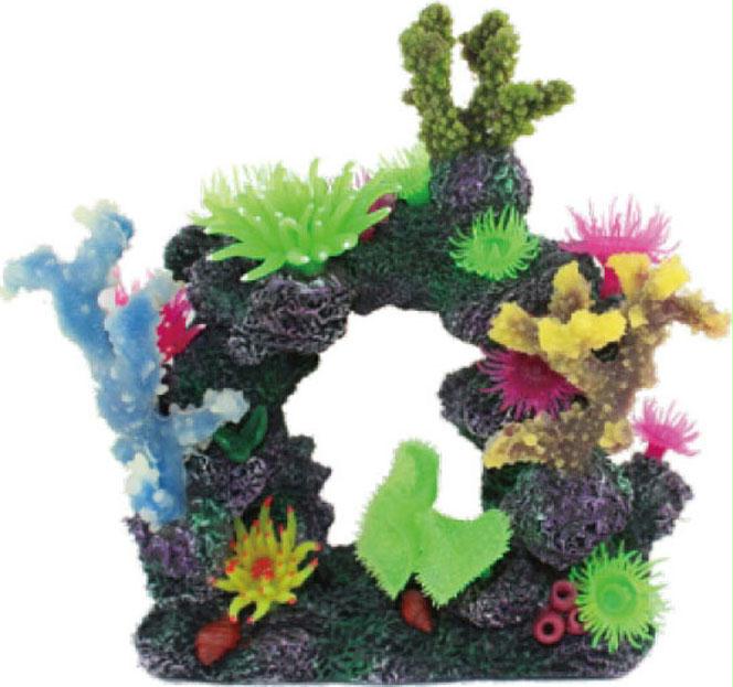 Coral Reef Formation