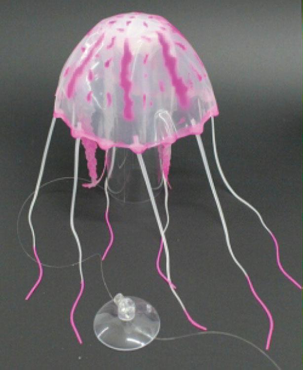 Jellyfish