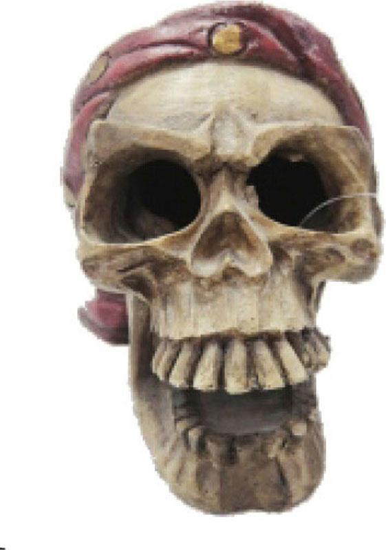 Underwater Pirate Skull