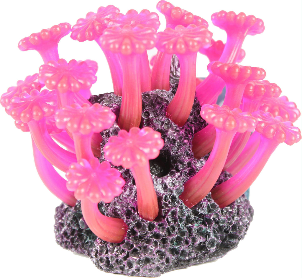 Button Polyp Aerator