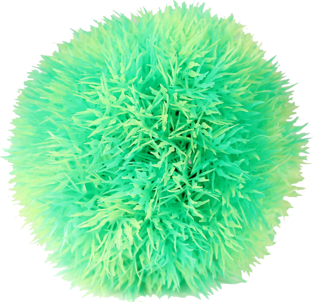 Moss Ball